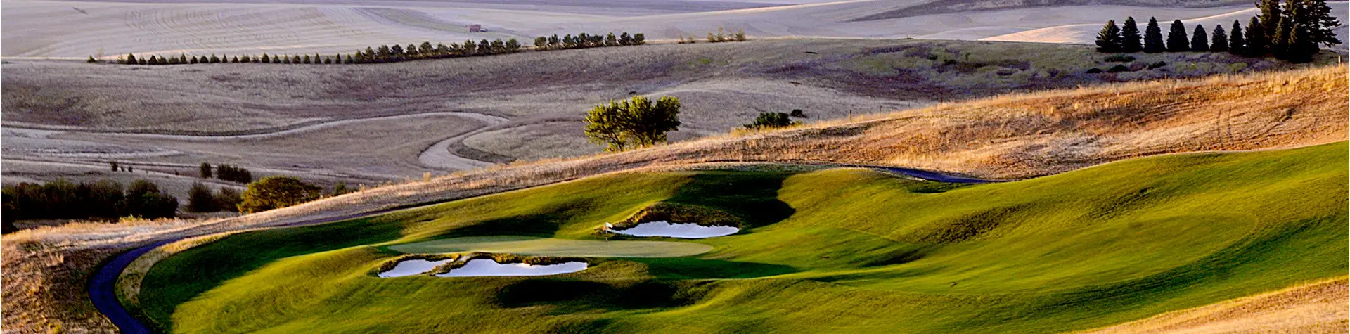Allied Partner Opportunities page - image of rolling hills golf course