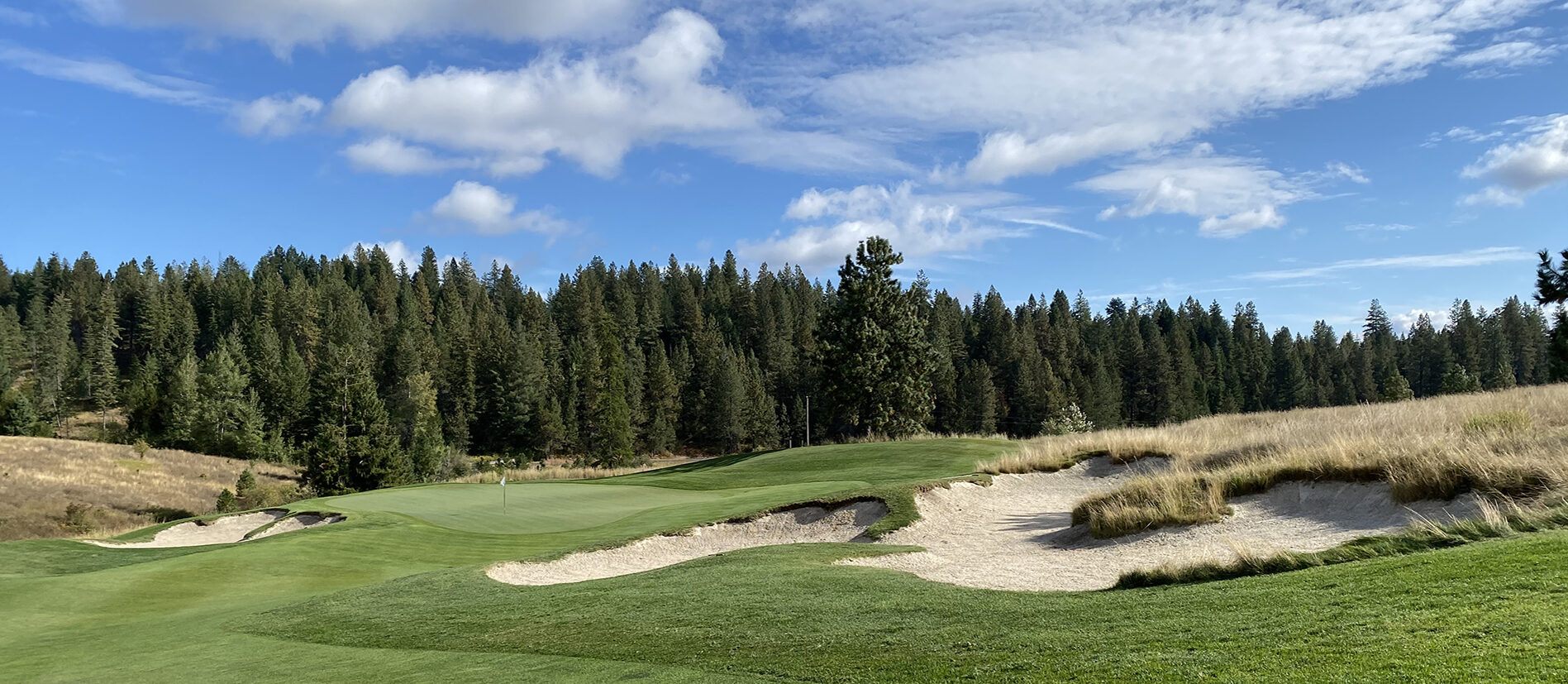 CDA National reserve banner 03