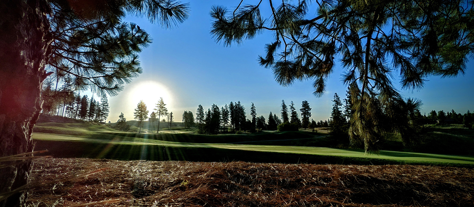 PXL_20210717_130959046.MP~2 banner